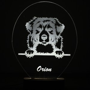 Lampe Animaux de Compagnie Personnalisée