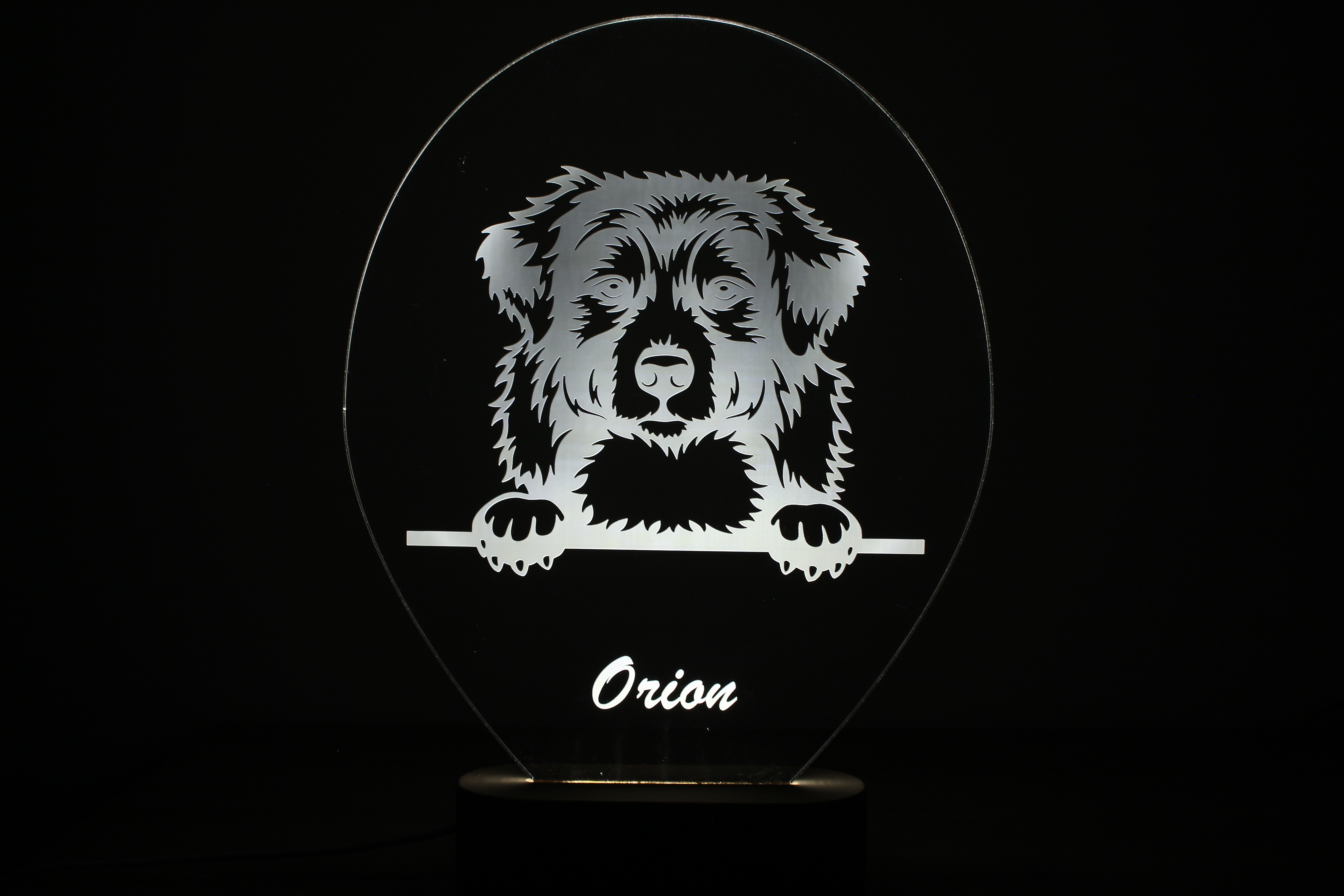 Lampe Animaux de Compagnie Personnalisée