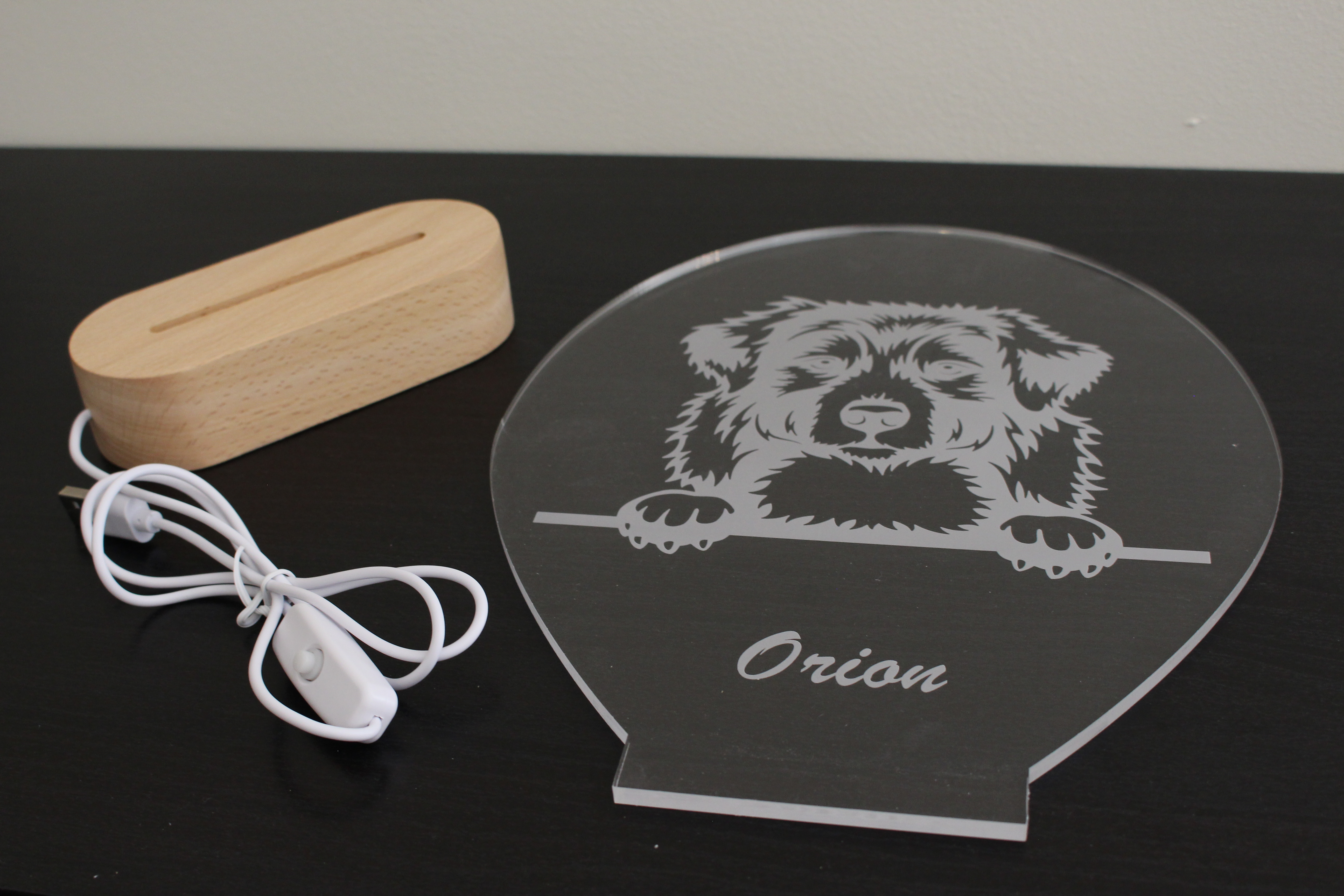 Lampe Animaux de Compagnie Personnalisée – Image 10